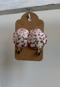 Florida Scallop Shell w/ Shark Teeth Stud Earrings