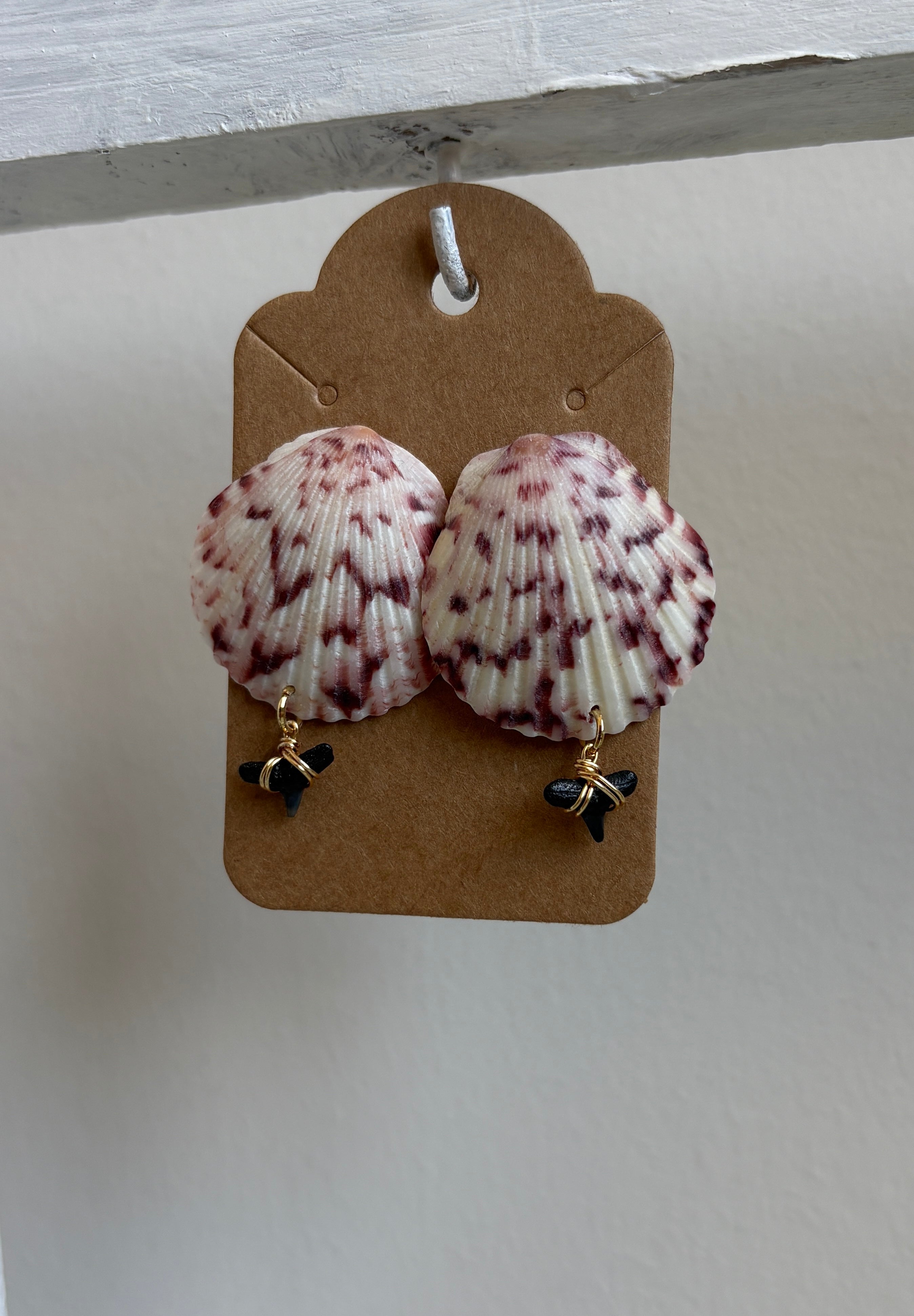 Florida Scallop Shell w/ Shark Teeth Stud Earrings