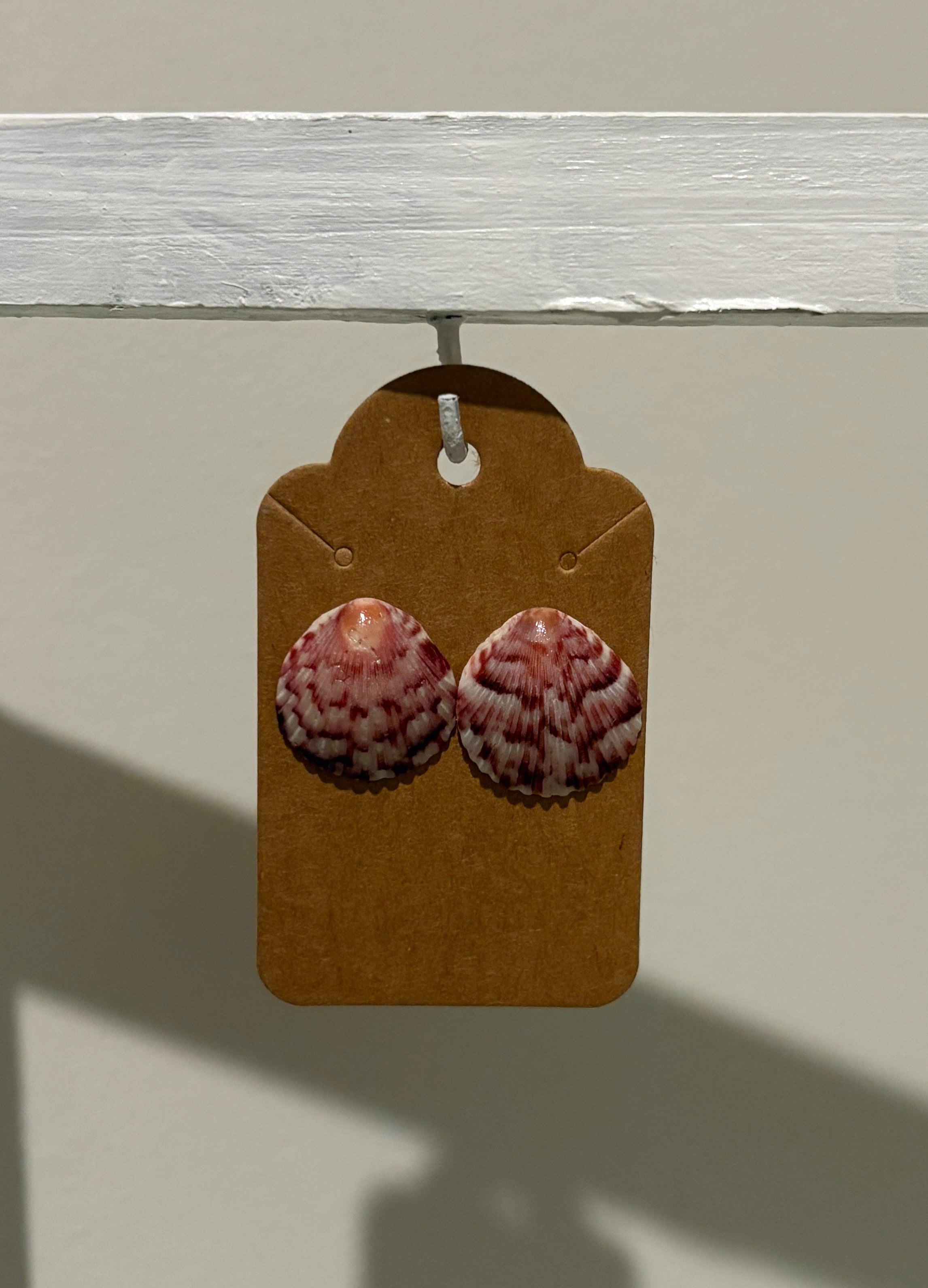 Florida Scallop Shell Stud Earrings