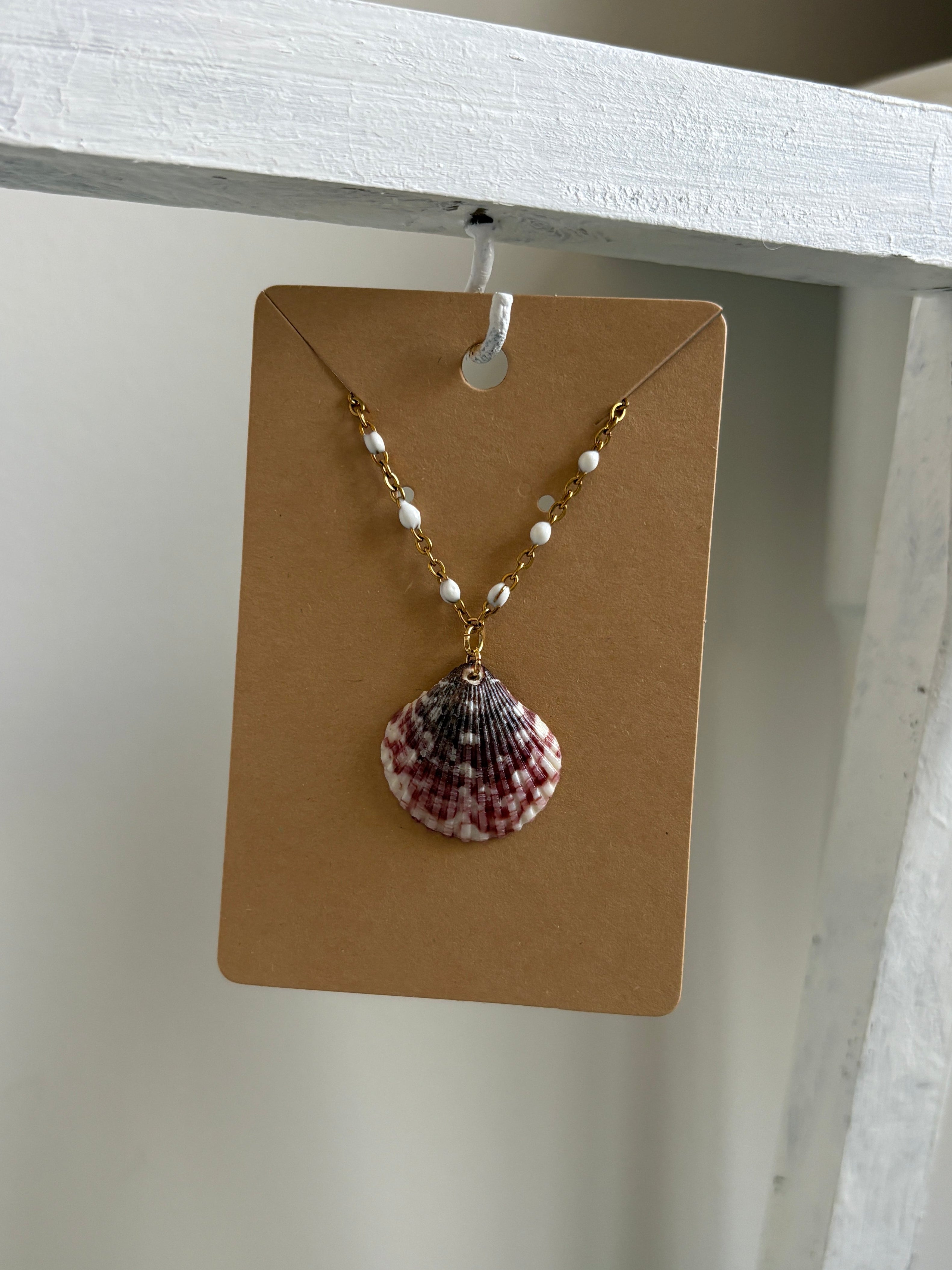 Florida Scallop Shell 16” Necklace
