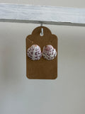 Florida Scallop Stud Earrings