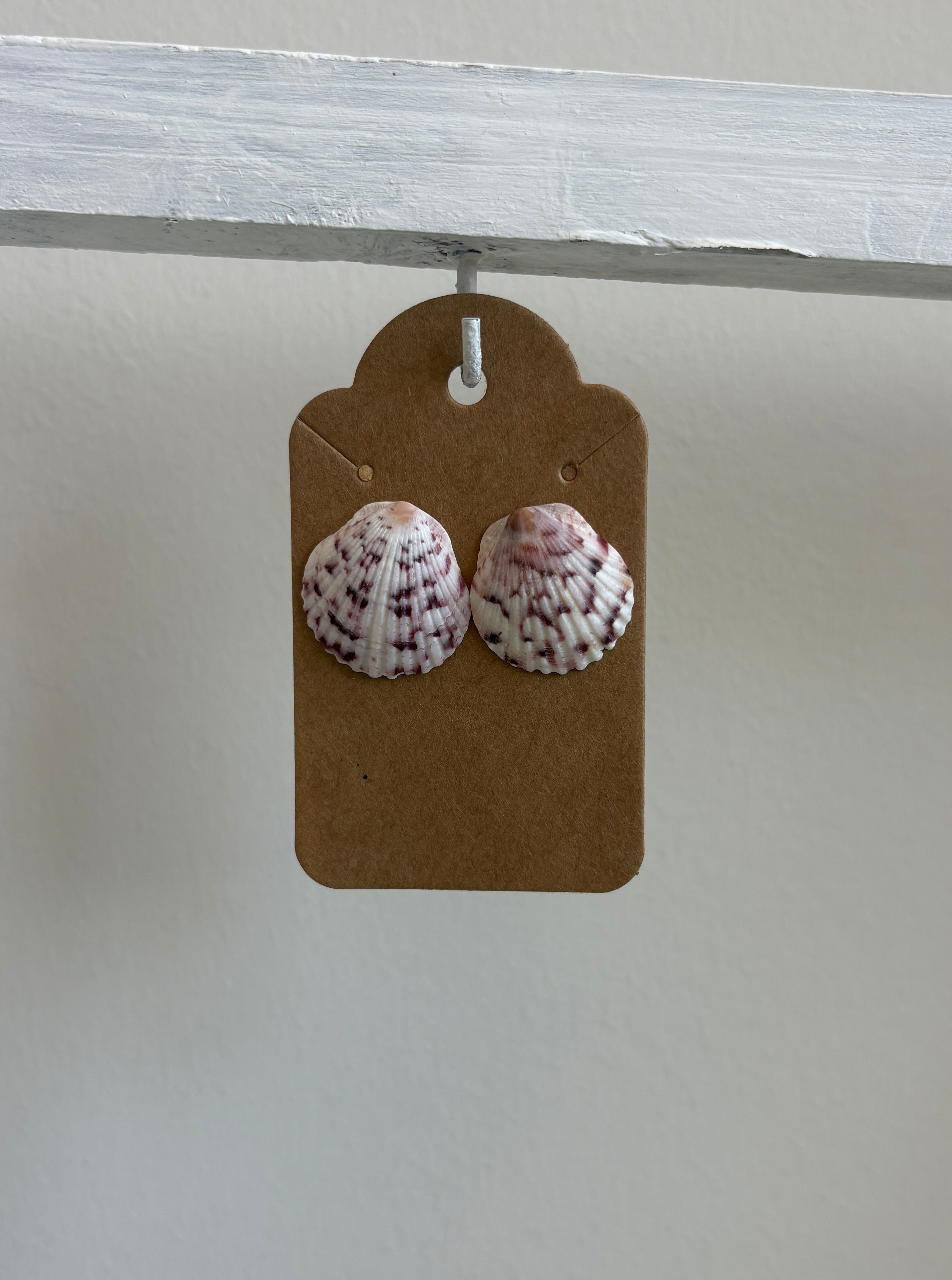 Florida Scallop Stud Earrings