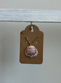 Florida Scallop Shell 16” Necklace