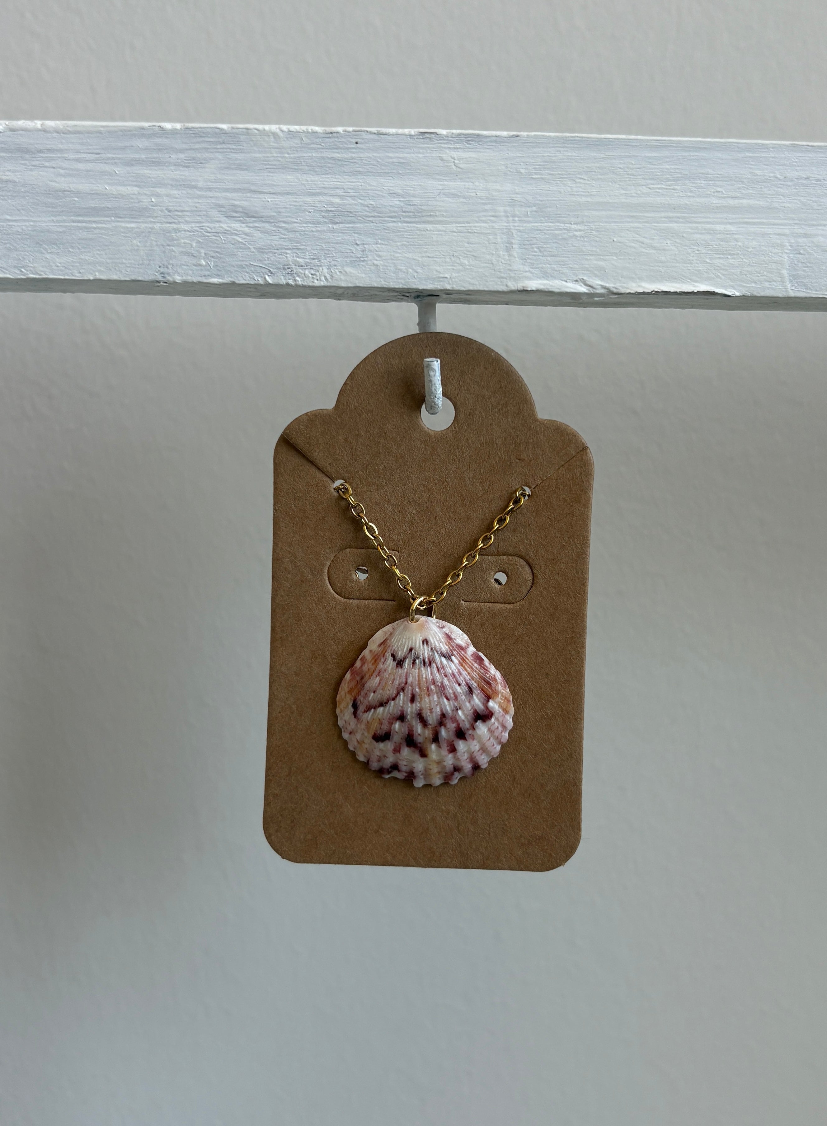 Florida Scallop Shell 16” Necklace
