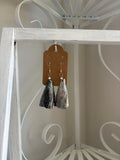 Florida Penn Shell Earrings