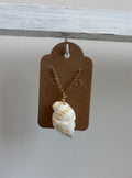 Florida Nutmeg Shell 16” Necklace