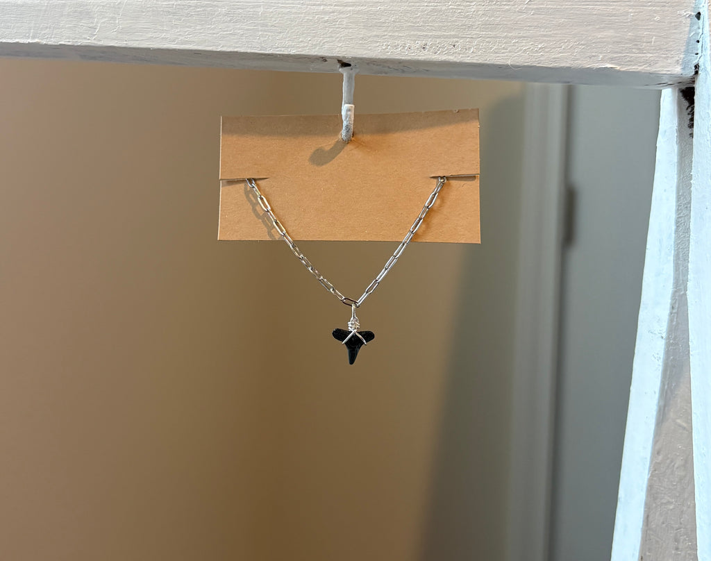 Florida Shark Tooth Anklet