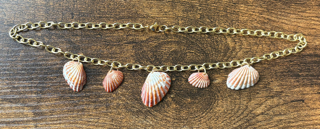 Florida Broad Ribbed Cardita 16” Shell Charm Necklace