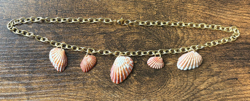 Florida Broad Ribbed Cardita 16” Shell Charm Necklace