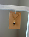 Florida Shark Tooth 16” Necklace