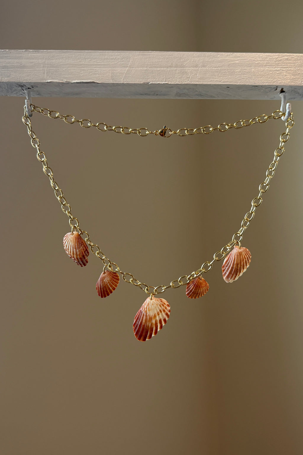Florida Broad Ribbed Cardita 16” Shell Charm Necklace