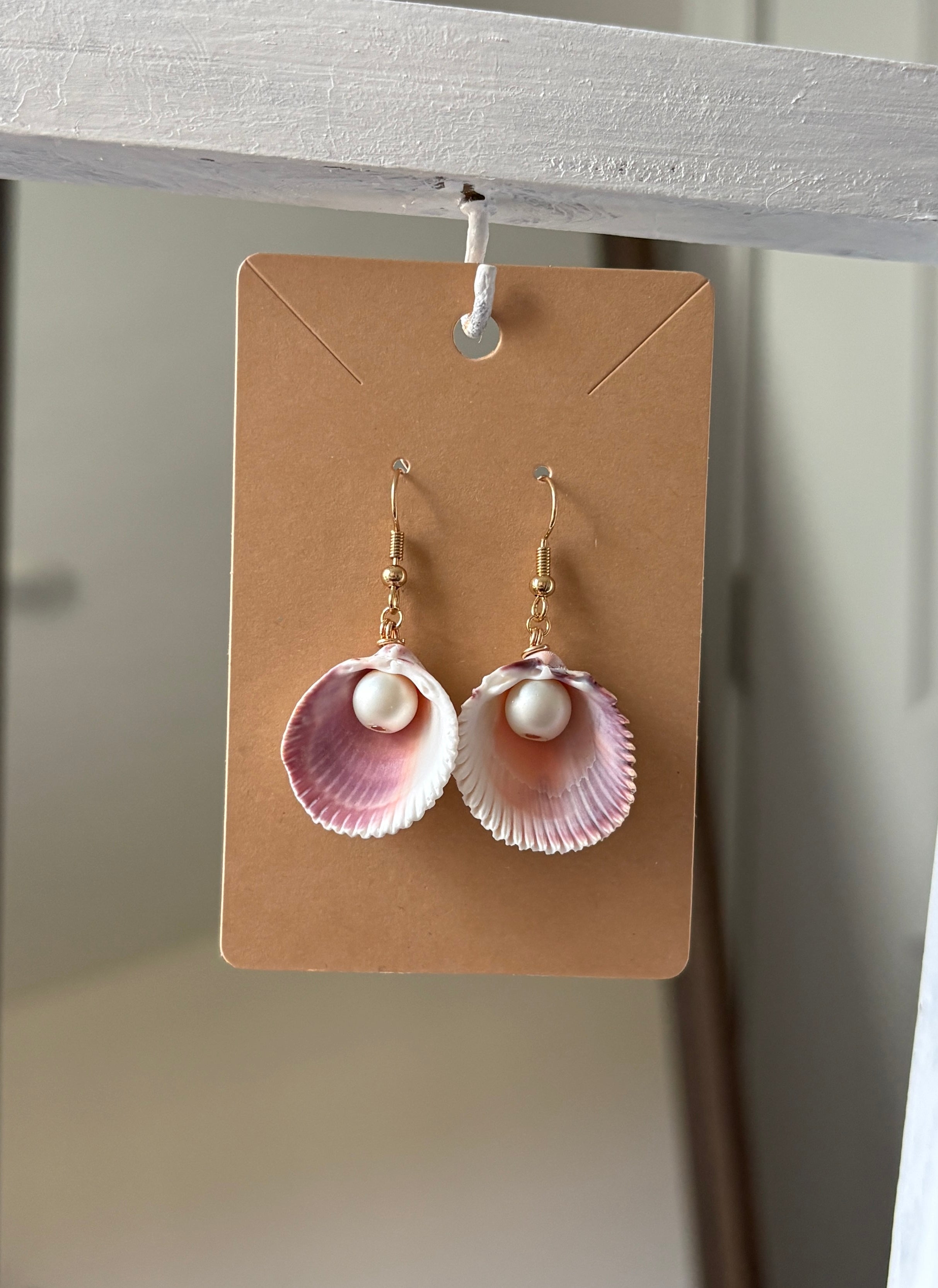 Florida Cockle Shell Earrings