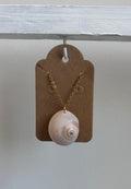 Florida “Sharks Eye” Shell 16” Necklace