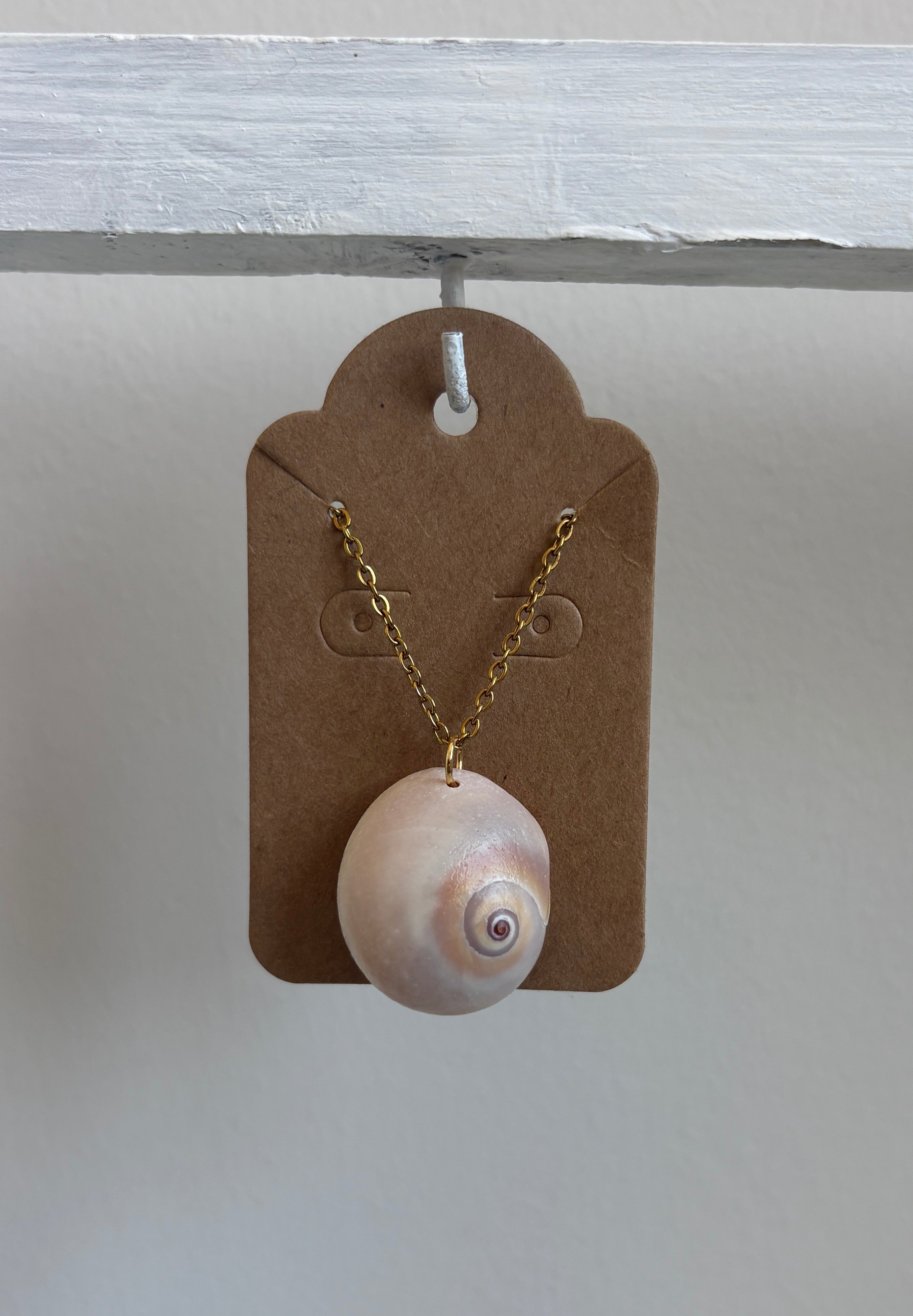 Florida “Sharks Eye” Shell 16” Necklace