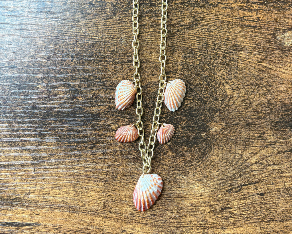 Florida Broad Ribbed Cardita 16” Shell Charm Necklace