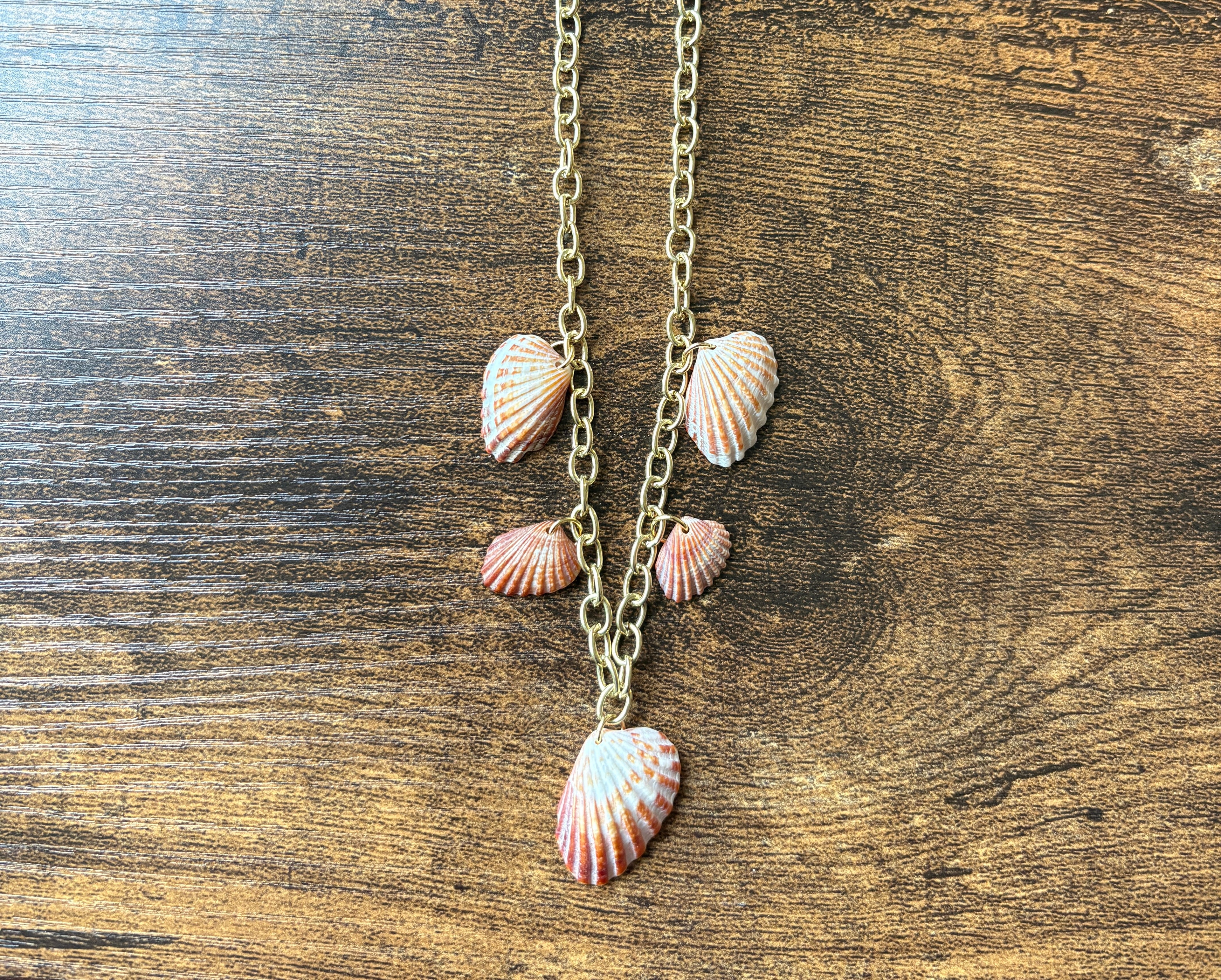 Florida Broad Ribbed Cardita 16” Shell Charm Necklace