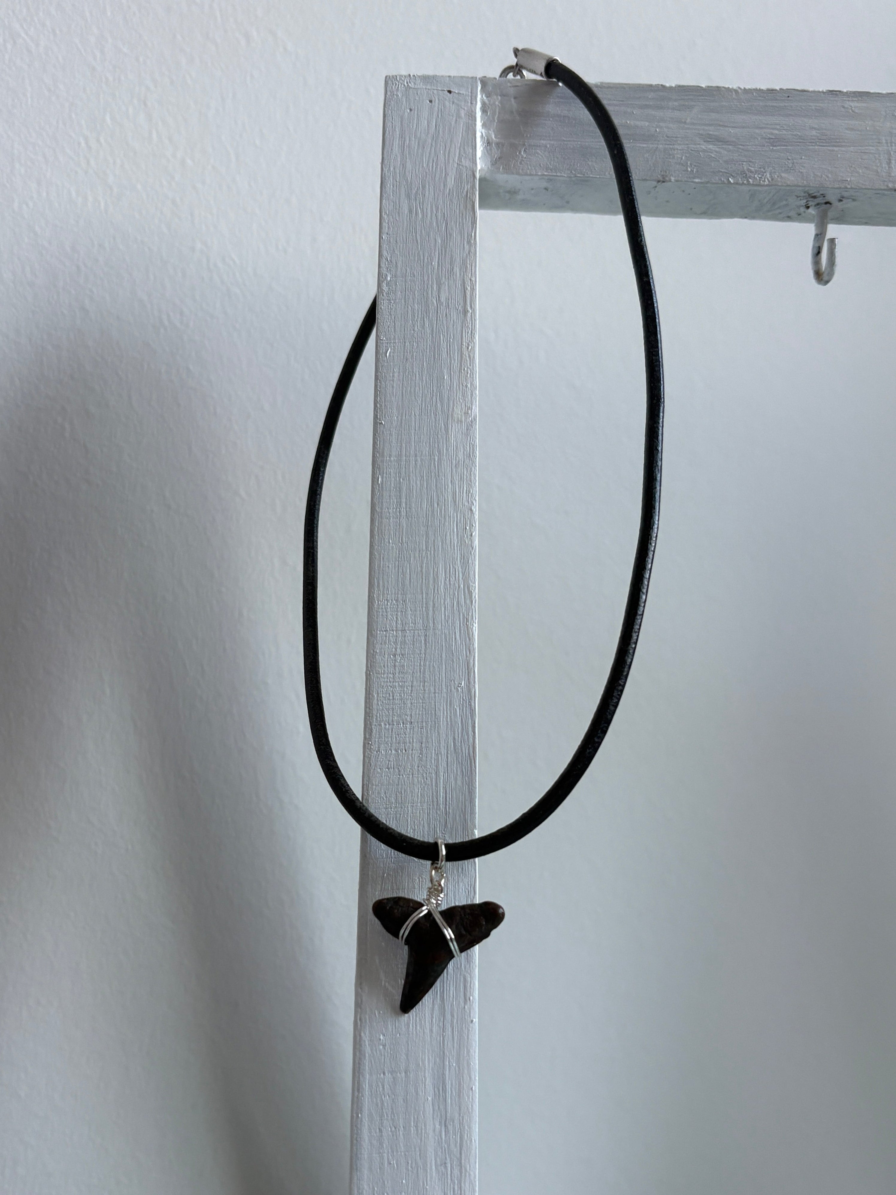 Florida Shark Tooth 16” Necklace