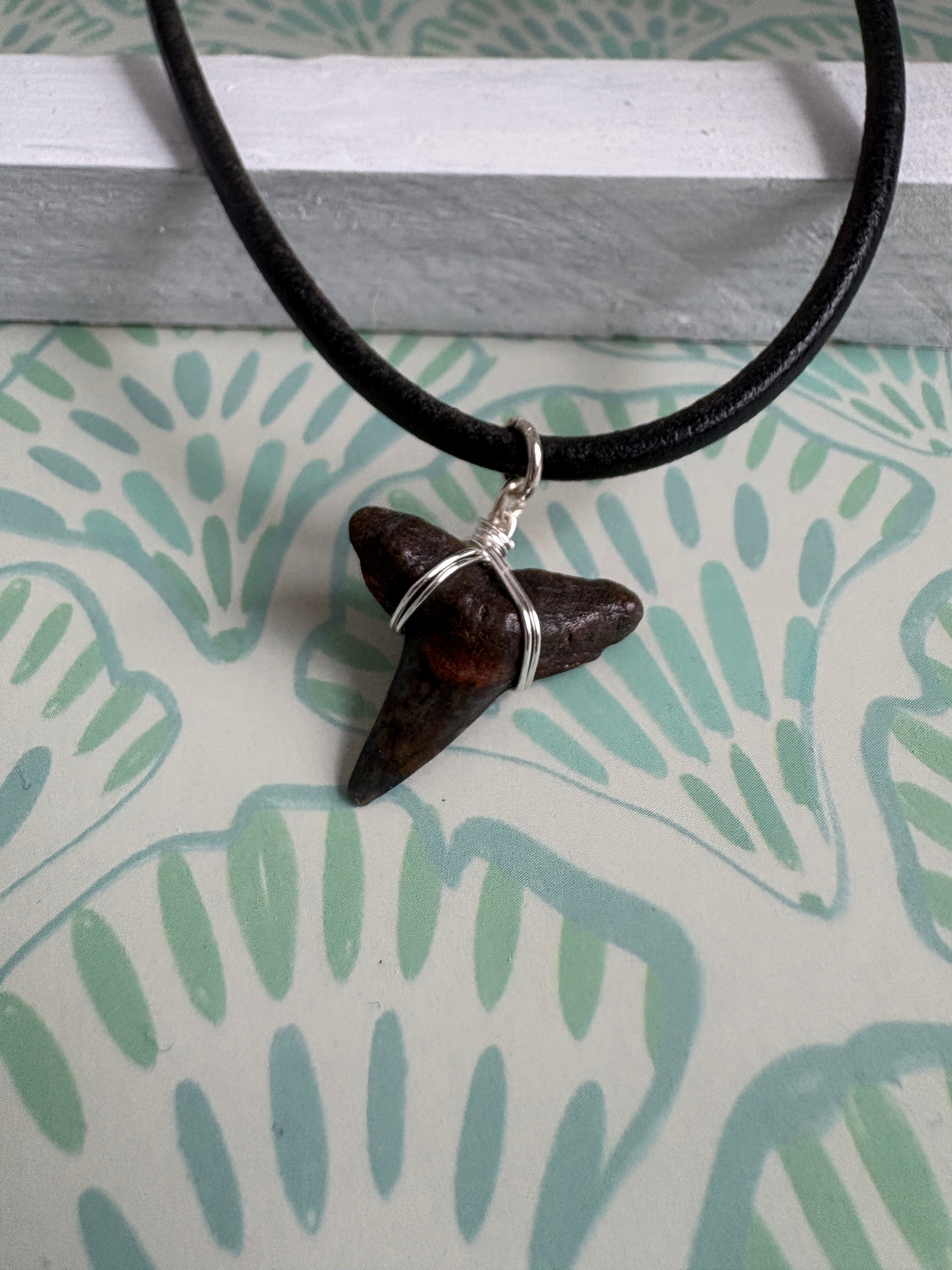Florida Shark Tooth 16” Necklace