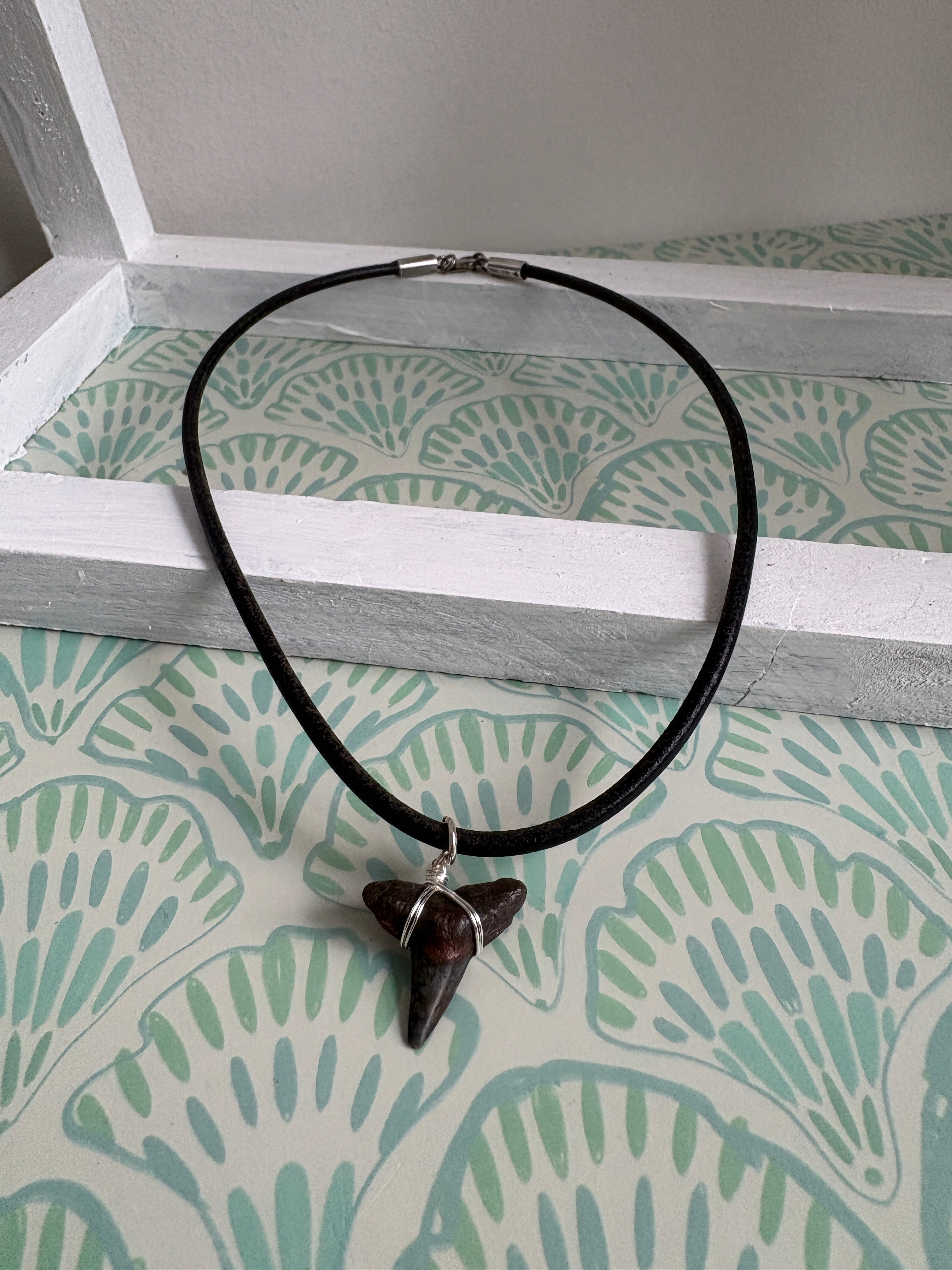 Florida Shark Tooth 16” Necklace