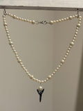Florida Shark Tooth 16” Pearl Necklace